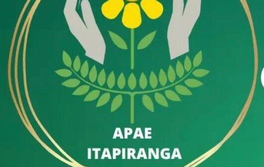APAE incentiva atuação da autodefensoria como valorização dos alunos