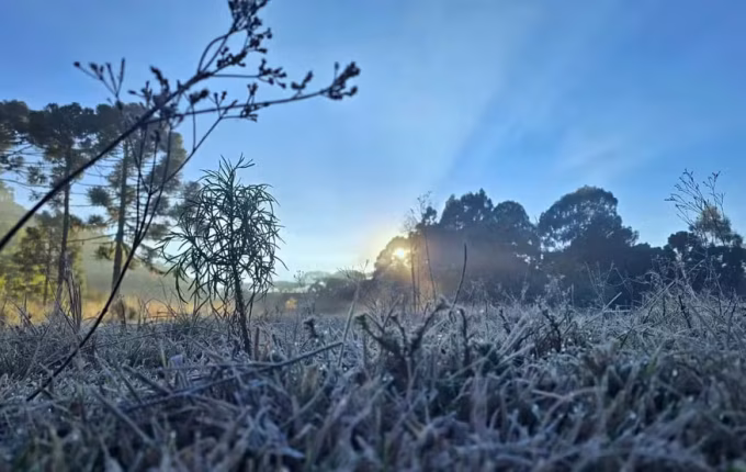 Frio abaixo de 0°C congela a paisagem e forma geada na Serra de SC