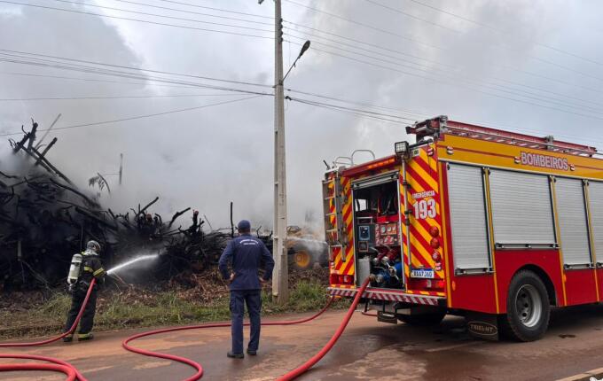 Incêndio atinge pilha de eucaliptos em madeireira de São Miguel do Oeste