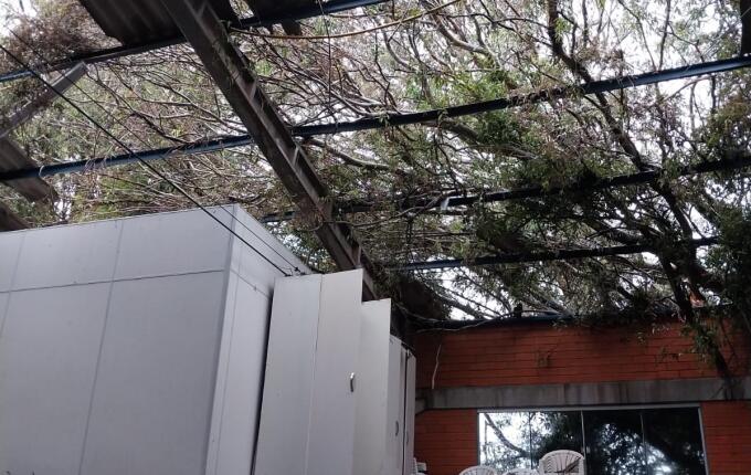 Foto da galeria