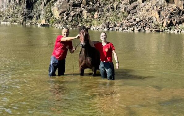 Cavalo é resgatado após ficar preso em açude em São Lourenço do Oeste