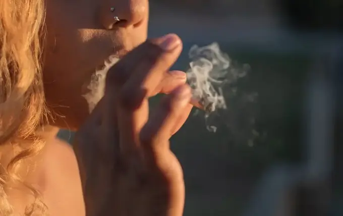 Florianópolis é a capital com maior consumo de maconha entre estudantes, diz IBGE