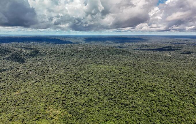 Mais de 30 grupos criminosos disputam o controle da Amazônia, aponta estudo