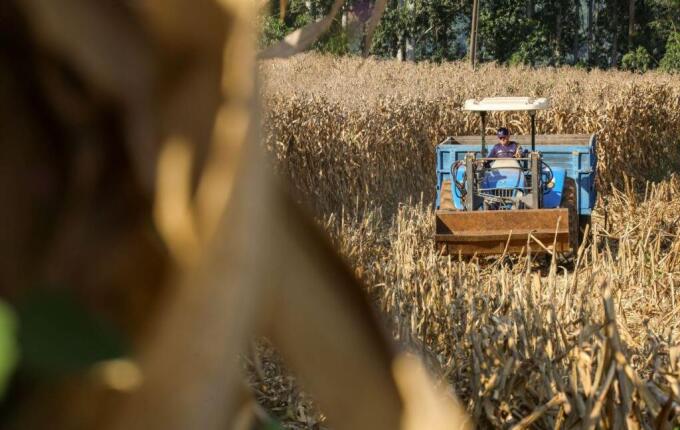 SC lança programa com até R$ 1 bilhão em crédito para produtores de suínos e aves