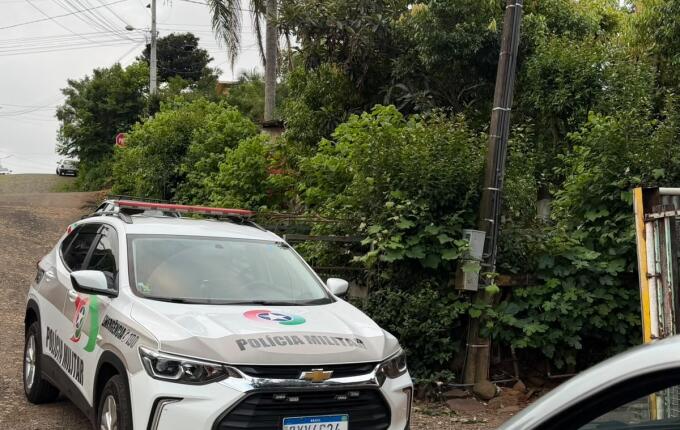 Mulher é presa após cachorro ser morto a machadadas em São Miguel do Oeste