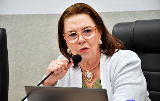 PSD lamenta dispersão de votos para candidatos de outras regiões em SMO