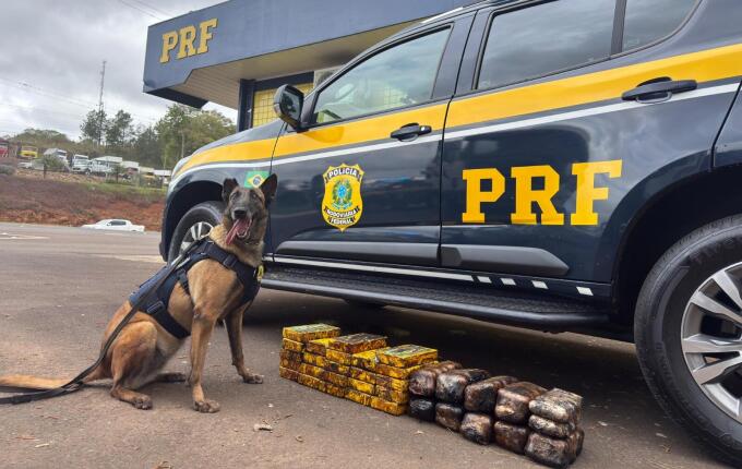 Cães da PRF encontram 35 quilos de drogas escondidos em catalisador de carreta na BR-282