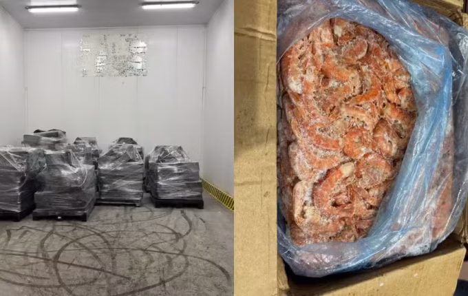 Motorista é preso com 5,2 toneladas de camarão contrabandeado em Indaial