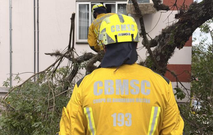 Árvore cai sobre residência durante poda em São Miguel do Oeste