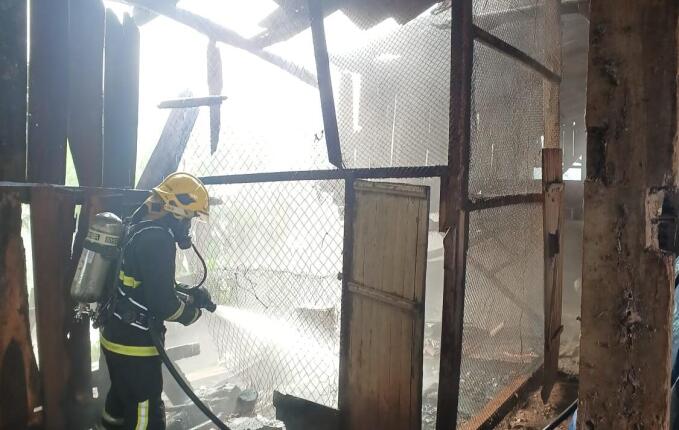 Incêndio atinge galpão e mata 35 galinhas em Itapiranga