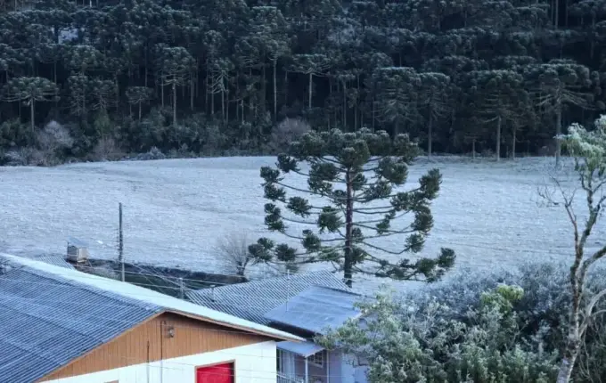 Frio de -9,1°C congela a paisagem na região mais fria do Brasil em dia de inverno rigoroso