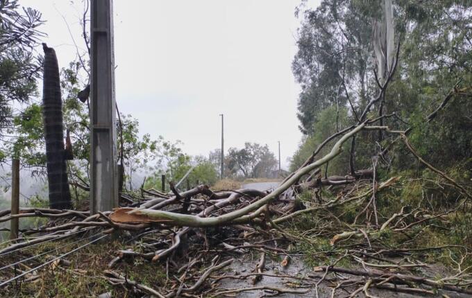 Três municípios de SC decretam situação de emergência após temporais