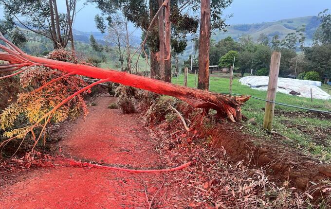 Fortes ventos derrubam árvores e bloqueiam vias no interior de Anchieta