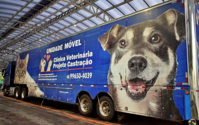 Programa Pet Levado a Sério realiza 200 castrações em SMO