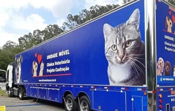 Paraíso realiza novo mutirão de castração para cães e gatos