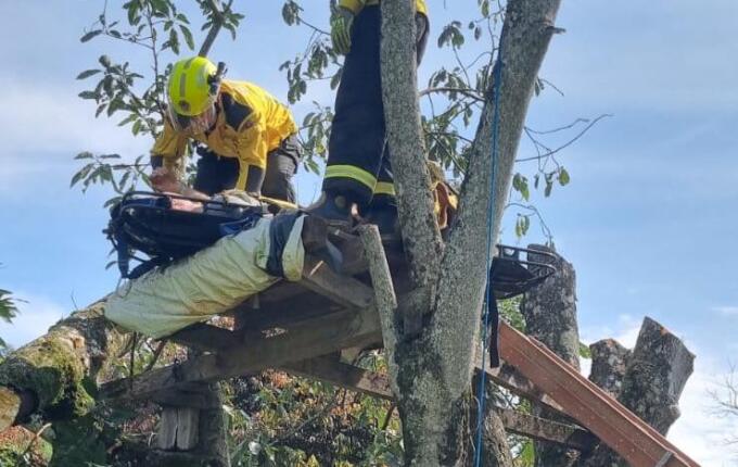 Homem fica ferido após ser atingido por galho em Iporã do Oeste