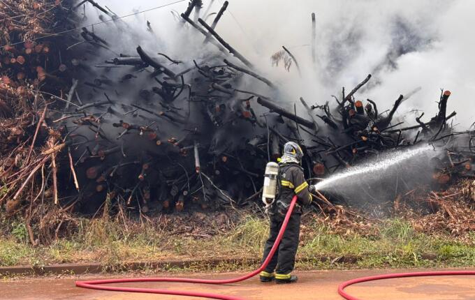 Incêndio atinge pilha de eucaliptos em madeireira de São Miguel do Oeste