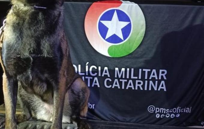 Polícia Militar prende suspeito de tráfico de drogas em Maravilha