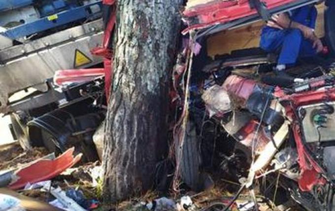 Grave acidente entre caminhões deixa um ferido na BR-282