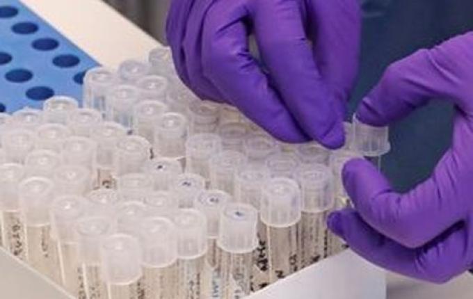 MP apura se pessoas com sintomas de COVID-19 estão realizando testes na Capital