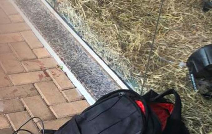 Homem sofre ferimentos graves ao ser atingido por garrafada na cabeça em SMO