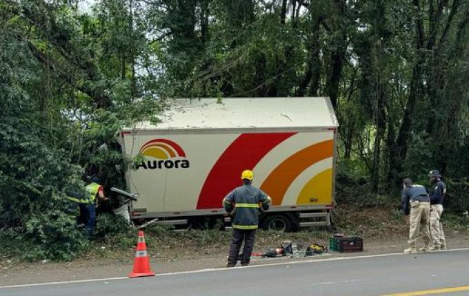 Motorista morre em colisão contra árvore as margens da BR 282