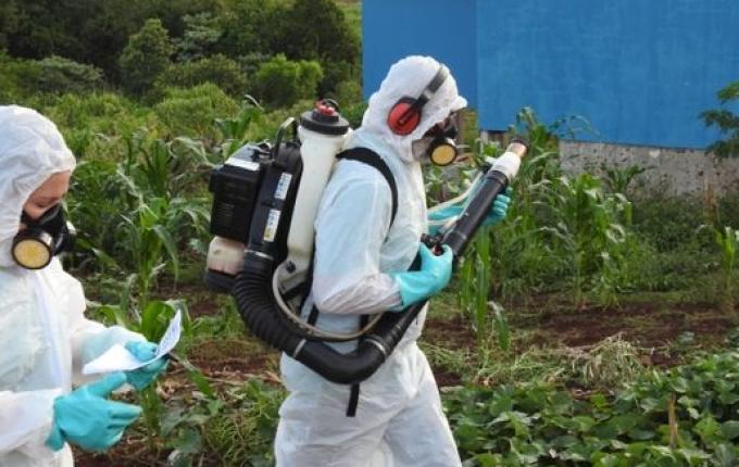 São Miguel do Oeste volta a registrar caso de dengue após quatro meses