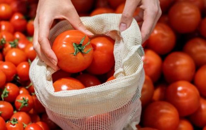 Preço do tomate cai mais de 26% nos mercados atacadistas