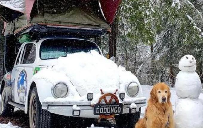 Acidente nos EUA mata influenciador e golden retriever de SC que viajavam em Fusca