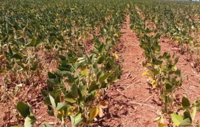 Aprovada medida que libera R$ 1,2 bilhão para atingidos pela estiagem