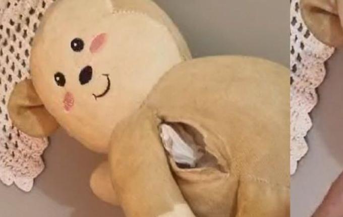 Mulher é presa com cocaína dentro de urso de pelúcia em Chapecó