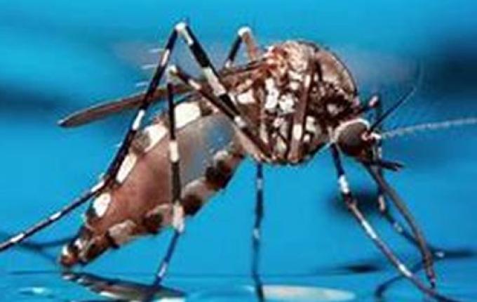 Itapiranga tem primeira morte com suspeita de dengue