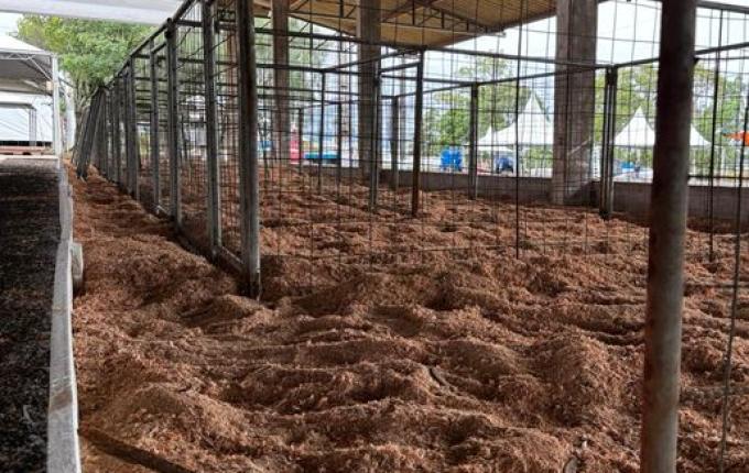 Faismo entra na reta final com alerta de chuva e foco na chegada das máquinas