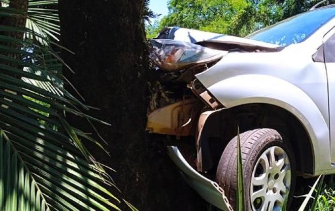 Motorista perde controle da direção e carro se choca contra árvore na SC 163