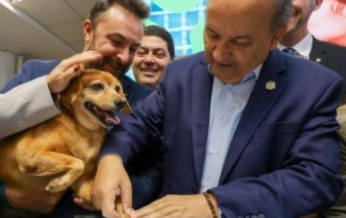 SC quer castrar 90 mil cães e gatos até 2026 com programa de R$ 18 milhões