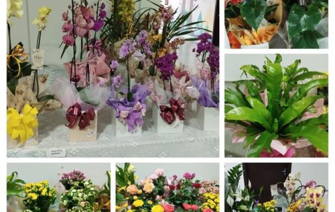 CAESP/APAE Caminho de Luz promove 4ª edição da Feira de Flores