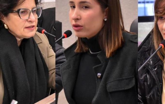 Vereadoras cobram ações para idosos, animais e segurança de pedestres em São Miguel do Oeste