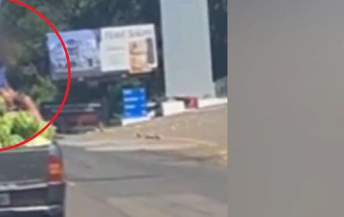 VÍDEO: motorista flagra homens dividindo espaço com carga de melancia