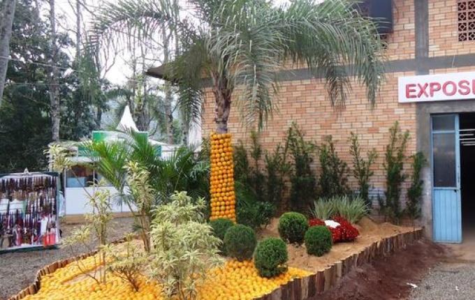 Agricultura de Mondaí intensifica preparativos para a 18ª Festa da Fruta