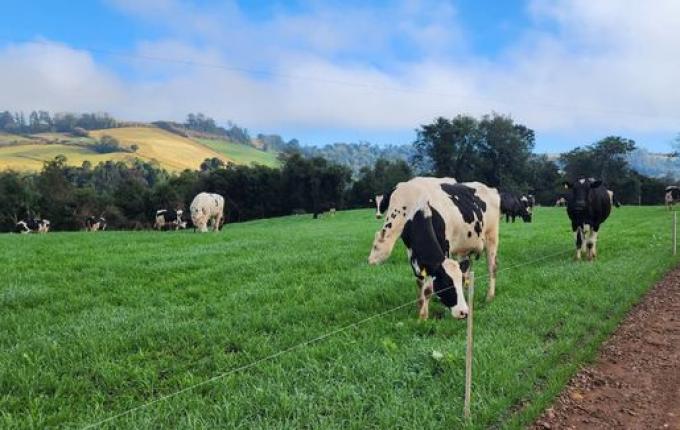 Jovens buscam retorno a propriedades rurais para seguir atividade familiar