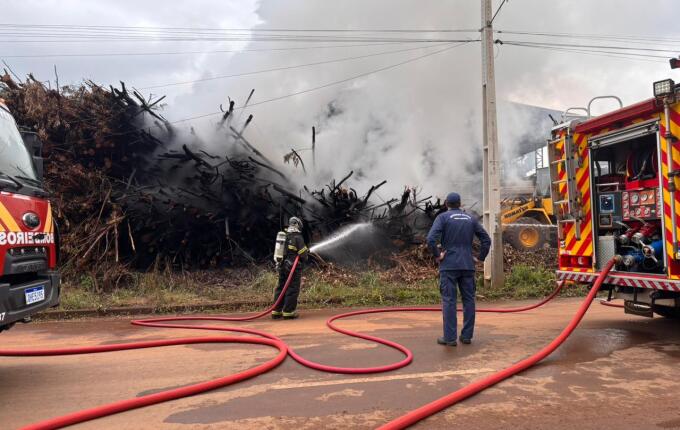 Incêndio atinge pilha de eucaliptos em madeireira de São Miguel do Oeste