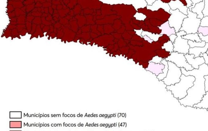 Oeste tem infestação de mosquito da dengue, aponta informe da Dive