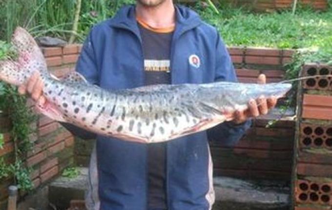 ATUALIZADO: Identificado homem que se afogou no Rio Uruguai