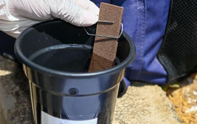 São Miguel do Oeste adota armadilhas tecnológicas para combater Aedes aegypti a partir de agosto