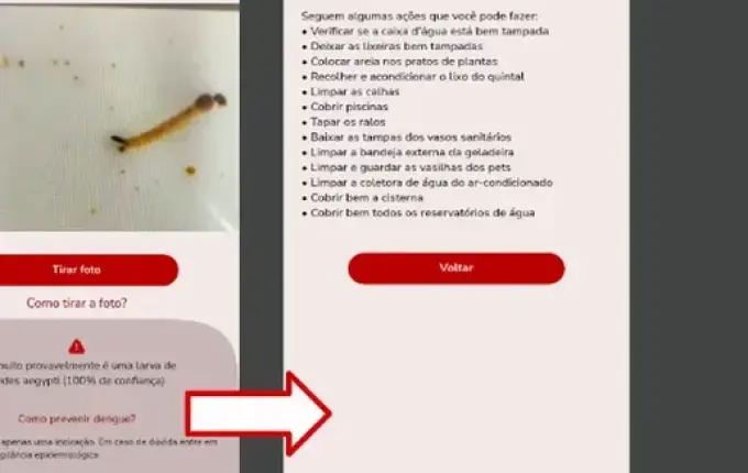 Estudante cria app que identifica larva do mosquito da dengue