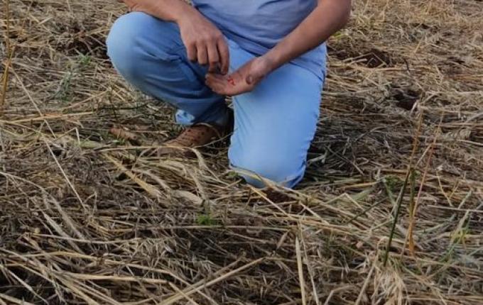 Conectando ao Agro fala sobre a análise do solo; ouça a entrevista