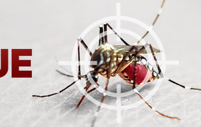 Demora do diagnóstico da dengue atrasa ações preventivas