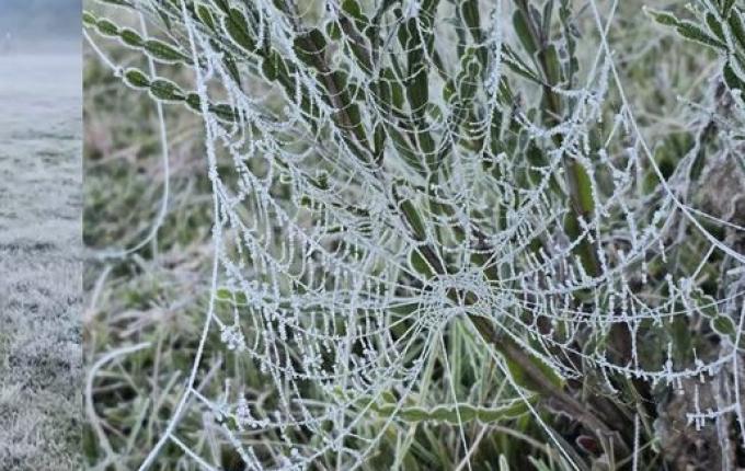 Com frio congelante de -3,17°C, região mais fria de SC tem a menor temperatura do ano