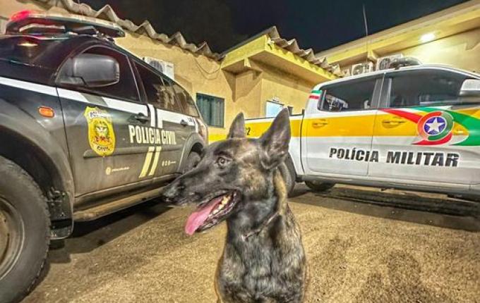 Foragido do Rio Grande Do Sul é capturado em São Lourenço Do Oeste