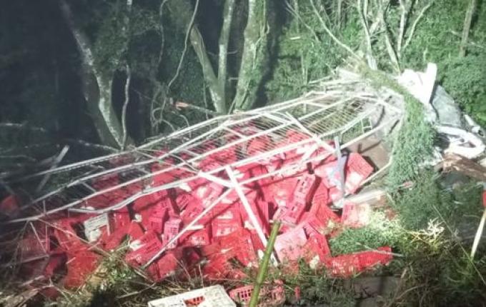 Caminhão carregado com aves sai da pista e cai em barranco na BR 282